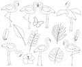 Set flamingo vector bird tropics flowers vector illustration black and white coloring. Royalty Free Stock Photo